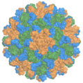 Profile Picture of Tomato bushy stunt virus - Wikipediaon Wikipedia
