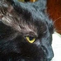 Profile Picture of Rodney Case (@rodney-case-3) on Quora
