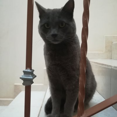 Profile Picture of wilberto castro (@castro_wilberto) on Twitter