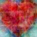 Profile Picture of Jodi Downs (@jodidowns1) on Pinterest