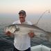 Profile Picture of William Plotkin (@william.plotkin.7) on Facebook