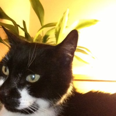 Profile Picture of Marlene Mitchell (@Marlene27717095) on Twitter