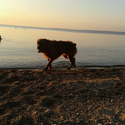 Profile Picture of Joey Halverson (@Joehoe556) on Twitter