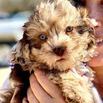 Profile Picture of Lisa and Caleb Fournier (@floydboisnow) on Instagram