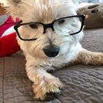 Profile Picture of Jose Manuel Iruegas (@josemanueliruegas) on Instagram