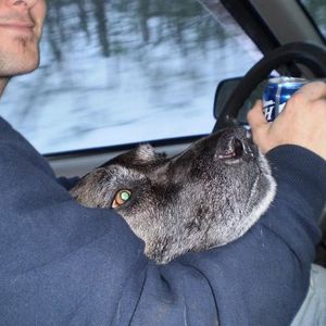 Profile Picture of Zack Bell (@zackattacker) on Myspace