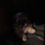 Profile Picture of Anamaria Biltiu (@anamariabiltiu) on Instagram