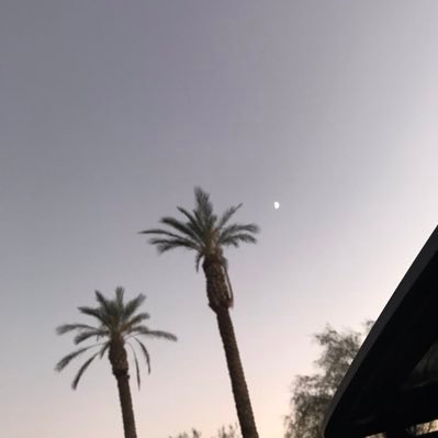 Profile Picture of Sam E Lucas (@samelucas) on Twitter