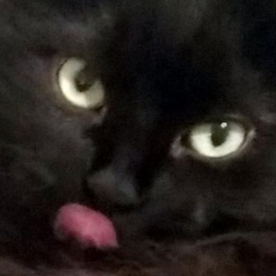 Profile Picture of Edgar Castro (@netwt187g) on Twitter