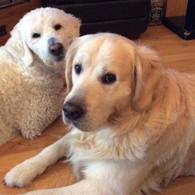 Profile Picture of Mandy Mcdowell (@mandymc79995247) on Twitter