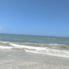 Profile Picture of Deborah Wolf (@Deborah58591271) on Twitter