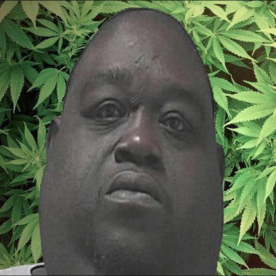 Profile Picture of BobbyBigWeed (@BobbyBigWeed1) on Twitter