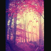 Profile Picture of Ginger Rodriguez (@gingerrodriguez1711) on Youtube