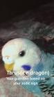 Profile Picture of   greenscreen | with Music... (@xxyukibirdy) on Tiktok