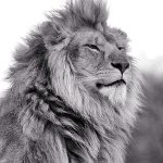 Profile Picture of Antonio M Speight (@kingspeight) on Instagram