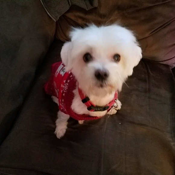 Profile Picture of Christi Thomasino (@endogirl23) on Poshmark