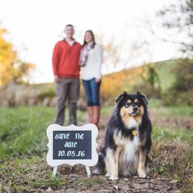 Profile Picture of Christa Tipton (@clcloud1) on Pinterest