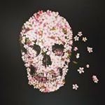 Profile Picture of Teacher Anfal Al-Ghamdi🔅 (@englishanfal) on Instagram