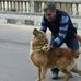 Profile Picture of Mohamed Farag (@mohamed.f.mhmoud.3) on Facebook