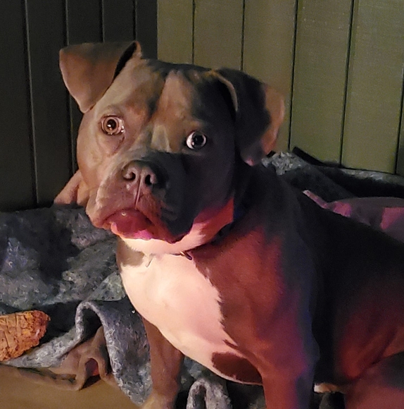 Profile Picture of Mario Ortiz (@marioortiz552) on Poshmark