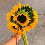 Profile Picture of Nancy Valladares (@nancyvalladares498) on Instagram