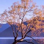 Profile Picture of miniso.lover (@miniso.lover) on Instagram