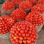 Profile Picture of Adam Babban Rafi (@Adam-Babban-Rafi) on Facebook