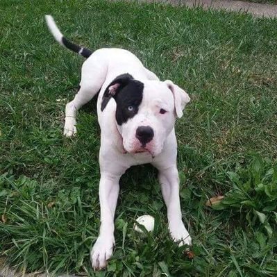 Profile Picture of ERIC E.González AGOSTO (@54Eric54) on Twitter