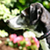 Profile Picture of youngersr (@youngersr) on Flickr