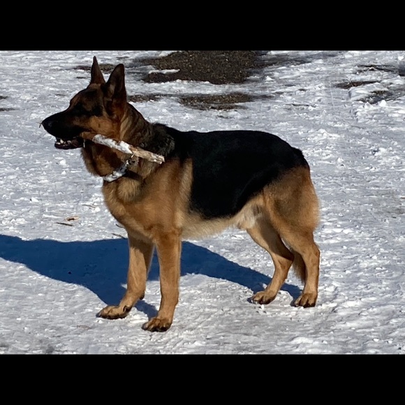 Profile Picture of Jeff Dimmel (@jdimmeldimmel) on Poshmark