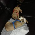 Profile Picture of James Sandman (@jamespurplepickle) on Instagram