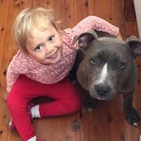 Profile Picture of Brendan Matthew Ridges (@brendan-matthew-ridges) on Quora