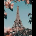 Brian Calel - Facebook Profile Picture of Brian Calel (@Brian-Calel) on Facebook