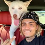 Profile Picture of Andrei-Vlad (@andrei_vlad415) on Instagram