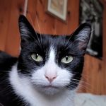 Profile Picture of Jeremy Smyth (@ragingbull44) on Instagram