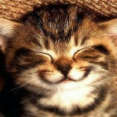 Profile Picture of Zeenat Ahmad (@zeenat_ahmad) on Twitter