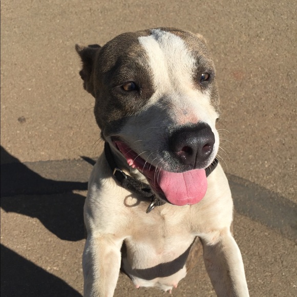 Darius Porter - Poshmark Profile Picture of Darius Porter (@drp75972) on Poshmark