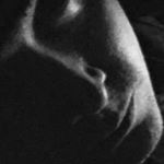 Profile Picture of Steven Harp (@steven__harp) on Instagram