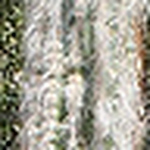 Profile Picture of Sean.Casey (@Sean.Casey) on Flickr