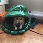 Profile Picture of Christopher Bailey (@christopher_bailey1234) on Instagram