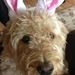 Profile Picture of Wendy Suire-Stackable (@wlsuire) on Pinterest