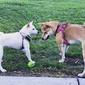 Profile Picture of Brandon Coby Smith (@brandoncobysmith7962) on Youtube