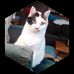 Profile Picture of Barbara Coulter (@barbara.coulter.948) on Facebook