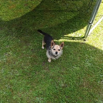 Profile Picture of Ron Weber (@ronweber1999) on Twitter