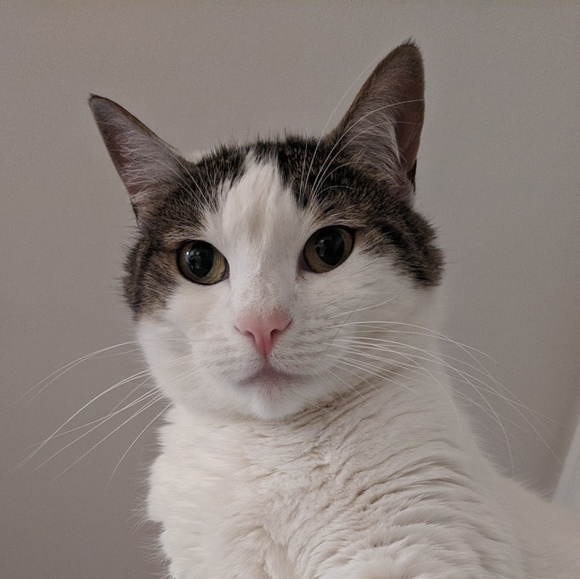 Profile Picture of Jules Strebler (@jujie06) on Poshmark