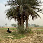 Profile Picture of Saad Chaudhary  (@saadchaudhary111) on Youtube