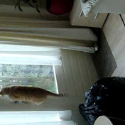 Profile Picture of Milja Stupavski (@Mii345) on Youtube