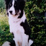 Profile Picture of Kari Haugsdal (@kari.haugsdal.7) on Facebook