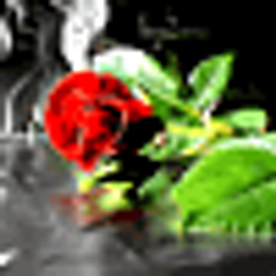 Erbentraut - Twitter Profile Picture of Erbentraut (@ricuvabopifat) on Twitter