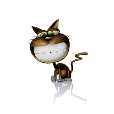 Profile Picture of Andy Hannan (@tweetmetweetie) on Twitter